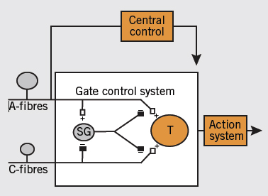 gate theory diagram